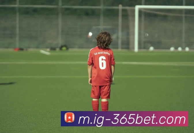 365bet平台生态图